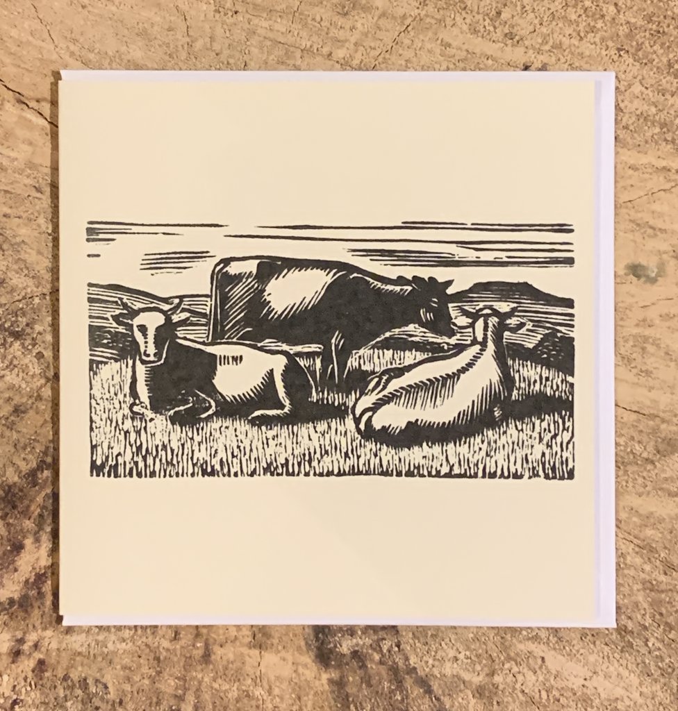 three cows in a field